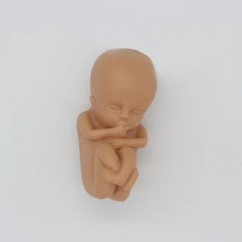 Фигурка человеческого Ребенка, мини-куклы, Анатомия органов, Скелет, медицина, обучение Материнскому плоду, Игрушки 